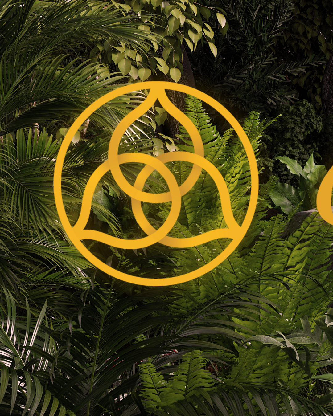 Logo Launch Post